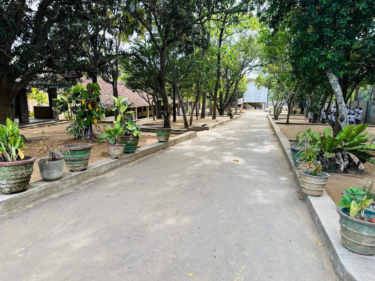 School Event 11